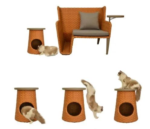 Human-Pet Shared Lounge Set